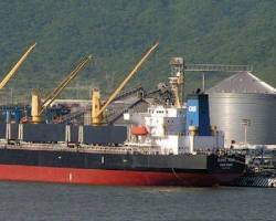 Panamax bulk carrier anchored at a busy port, symbolizing its role as a vital link in global trade